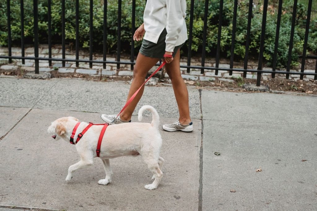 Your Ultimate Self-Care Weekend Guide